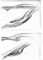 11_bridge-sketchesweb.jpg