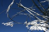 3_bird-blue.jpg