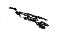 5_bird-maskweb.jpg