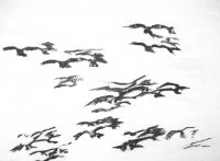 5_bird-pntng1.jpg